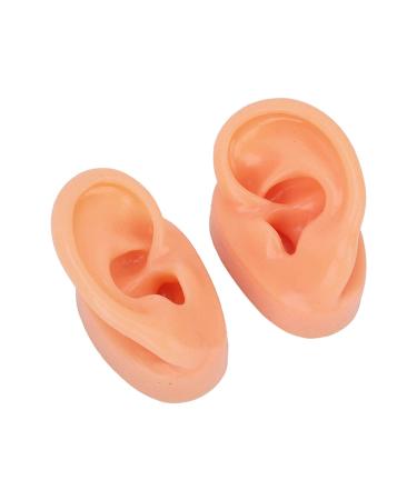 Long Lasting Waterproof Soft Artificial Ear Display Model for Medical Professionals - Buy Online on GoSupps.com