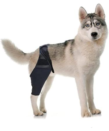 CORHAD Dog Leg Braces for Hindleg Comfortable Dog Knee Dog Back Leg Protector Puppy Pet Mesh Fabric Care M As Shown - Buy Online on GoSupps.com