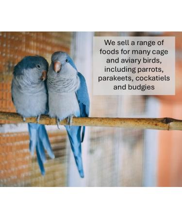 Millet Sprays x 10 Premium Cage Bird Food Seed Natural 10 count (Pack of 1) - Buy Online on GoSupps.com