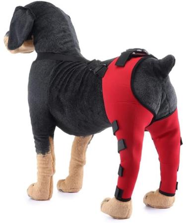 Pet Dog Knee Brace ACL Brace for Dogs Rear Leg Dog Braces for Back Leg for Support for Heals Prevents Injuries Sprains Red Medium Medium Red - Buy Online on GoSupps.com