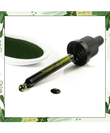 ENOLENIA Chlorophyll Drops High-Dose Alfalfa for Weight Loss & Fat Metabolism | 50ml Natural Additive-Free Formula - Buy Online on GoSupps.com