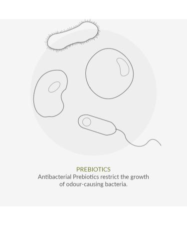 Buy GREEN PEOPLE Aloe Vera Deodorant 75 ML - Natural Eco-Friendly & International Shipping - Buy Online on GoSupps.com