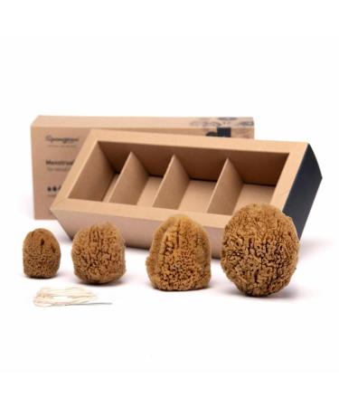 Menstrual Sponges - 4 Unbleached Eco-Friendly Pieces with Needle & Cotton Cord | Alternative to Pads & Tampons | Aristos - Buy Online on GoSupps.com