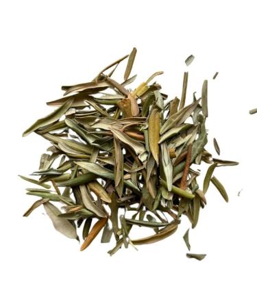 Olive leaf herbal tea 100 GRS Olea europea.