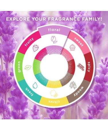 Lavender Geranium Scented Liquid Hand Soap for Foamiing Hand Wash Purple Essential Oils Formula Cruelty Free - 11 fl oz 2 Pack - Buy Online on GoSupps.com