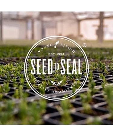 Young Living Idaho Grand Fir Essential Oil - 5 ml | Grounding Evergreen Aroma for Meditation & Well-Being | Skin Soothing & Deeper Breathing Support - Buy Online on GoSupps.com