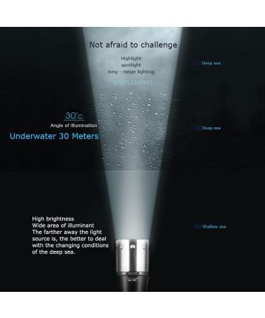 2 Pack 1200 Lumens Diving Flashlight | IPX8 Waterproof Dive Light with L2 LED Torch | Rechargeable Power | Ideal for Scuba, Snorkeling, and Underwater Sports - Buy Online on GoSupps.com