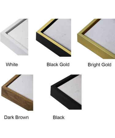 2 Pack 11x14 White Canvas Floater Frames - Assembled 7/8 Deep Floating Frames for Canvas Paintings - Canvas Frame Kit for Elegant Canvas Art - Buy Online on GoSupps.com