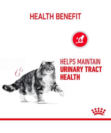 ROYAL CANIN Urinary Care In Jelly Adult Wet Cat Food (Pack of 12) - Buy Online on GoSupps.com