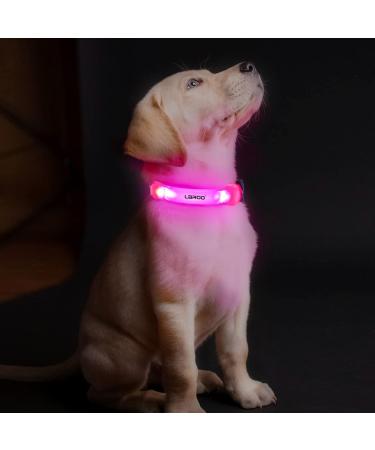 Buy Laroo Waterproof LED Light Band for Dogs & Cats - Bright Easy Attach Flashing Collar Light in Pink - Buy Online on GoSupps.com