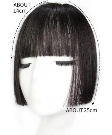 Bangs Hair Clip Clip in Hair Bangs Synthetic Hair Princess Cut Bangs Hair Piece Fringe Bangs Clip-on Quick Cosplay Bangs Hair Extensions Fake Straight Natural Fringe Hair for Women Bangs Clip in Hair Dark brown - Buy Online on GoSupps.com