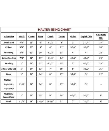 Tack Shack Turnout Leather Halter for Horses | Engraved Name Plate | Brown Leather, Solid Brass | Warmblood Size - Buy Online on GoSupps.com