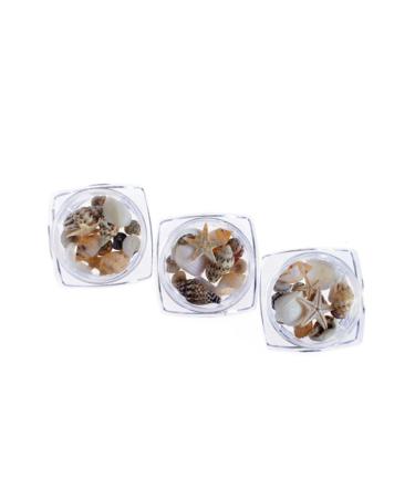 minkissy 1 Box Nail Art Decoration Nail Jewelry Shell Decor Conch Jewelry Nail Decorations for Nail Art Conch Shells Nail Decoration Nail Ornament 3d Nail Stickers Manicure