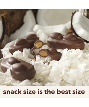 ALMOND JOY Chocolate Coconut Candy Bar Snack Size - 20.1 Ounce (Pack of 1) - Buy Online on GoSupps.com
