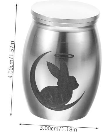 BESPORTBLE 5pcs Rabbit Urn Small Pet Urn Bunny Dog Urns for Ashes Mini Urns for Ashes Urn Small Stainless Steel 4.00X3.00X3.00CMx5pcs Silverx5pcs - Buy Online on GoSupps.com