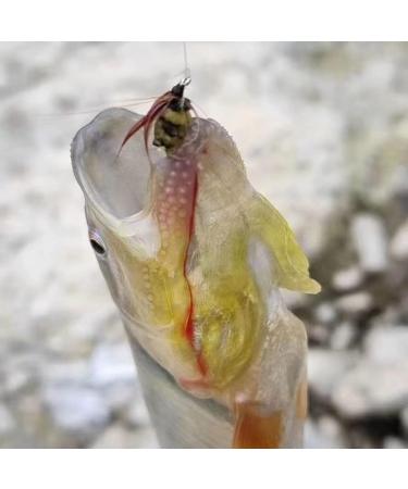 Premium Hand-Tied Fake Bees for Trout Bass Panfish Fishing | 12pcs Classic Honey Bee Flies | Lure Box Included | Gifts for Men - Buy Online on GoSupps.com