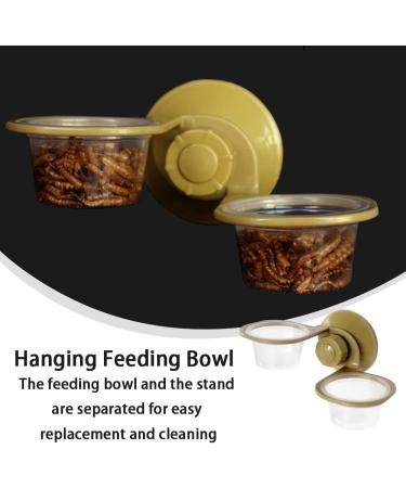 NBXINSLF Reptile Feeding Bowl Gecko Transparent Feeding Basin Reptile Food Bowl Water Dish for Reptiles Food and Water Feeding - Buy Online on GoSupps.com