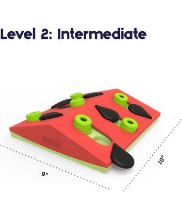 Petstages Nina Ottosson Melon Madness Interactive Cat Treat Puzzle - Buy Online on GoSupps.com