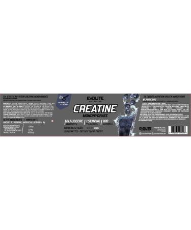 Evolite Nutrition Creatine Monohydrate 500g - Blueberry Flavor Creatine Powder for Pre Workout Boost - Premium Quality Creatine with Taurine - Buy Online on GoSupps.com