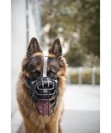Dingo Gear Rubberized Metal Muzzle for German Shepherds - Comfortable & Durable for Long Walks | S03042 - Buy Online on GoSupps.com