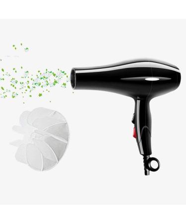 Professional Hair Dryer 2200W Hair Dryer Powerful Fast Blow Dryer Quick Drying with Concentrator 2 Speed 3 Heat Settings Constant Temperature Fast Drying Time and Low Nois Lightweight for Travel small - Buy Online on GoSupps.com