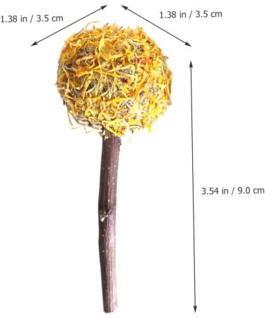 Sosoport 12pcs Pet Rabbit Snacks Rabbit Chewing Playthings Rabbit Biting Playthings Rabbit Chew Sticks Plant - Buy Online on GoSupps.com