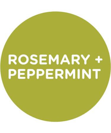 Sapadilla Rosemary + Peppermint Variety Pack - 16 oz Hand Soap, Dish Soap, Countertop Cleanser - Buy Online on GoSupps.com