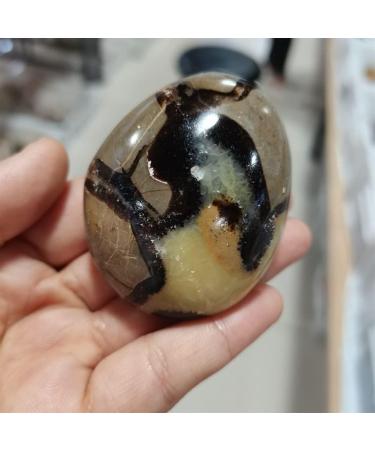 Home Decoration 1pcs Turtle Bay Palm CrystalStones Natural Carved for Feng Shui Stones ZJGIDTEM - Buy Online on GoSupps.com