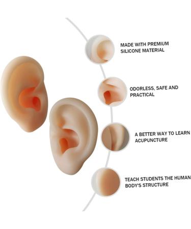 Hemoton Silicone Ear Model Set for Practice and Display | Ear Picking & Simulation Props - Buy Online on GoSupps.com