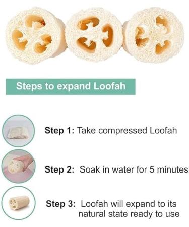 Buy Big Leaf Egyptian Loofah Sponge - 100% Natural Organic Exfoliating Body Scrubber for Men Women Kids | Textured Shower & Bath Sponge for Cellulite & Dry Skin - Buy Online on GoSupps.com