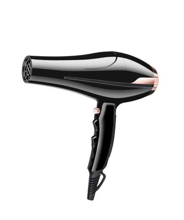 1800W Professional Hair Dryer with Nozzles Ionic Salon Powerful Hairdryer DC Motor Fast Blow Dryer with 3 Heat 2 Speed Cool Shot 1.8m Long Cable Quiet Black for Home and Salon Men and Women Small