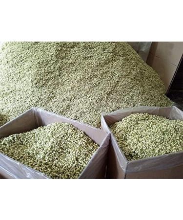 TooGet Bourgeons de Jasmin Purs Naturels Parfum s Fleurs de Jasmin S ch es en Gros Tisane - 60g - Buy Online on GoSupps.com