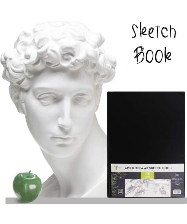 Tavolozza A3 Sketch Book - 96 Heavyweight Acid-Free Pages for Painting & Drawing Media - Buy Online on GoSupps.com