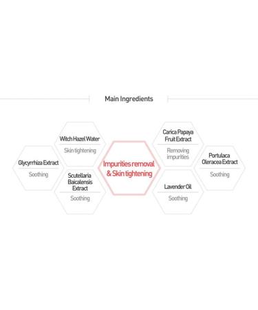 HISTOLAB Histo Clear Lotion 1200ml (40 fl oz) - Buy Online on GoSupps.com