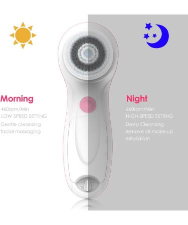 TOUCHBeauty Facial Cleansing Spin Brush - Electric Face Scrubber with 3 Brush Heads for Deep Cleansing Exfoliation & Massaging | International Shipping Available - Buy Online on GoSupps.com