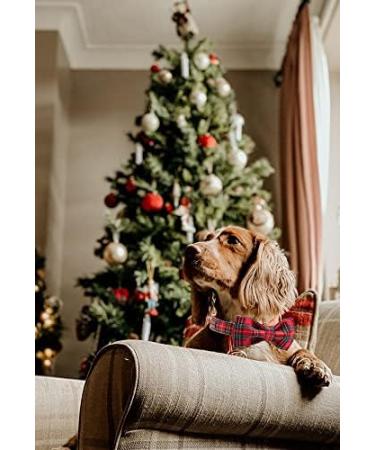unique style paws Christmas Plaid Dog Collar with Bowtie Durable Adjustable Dog Collars Bow Dog Collar for Small Girl or Boy Dogs S Scottish red - Buy Online on GoSupps.com