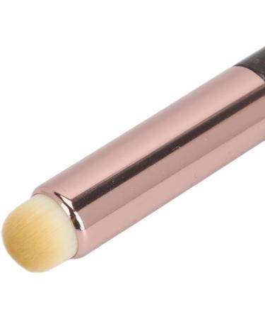 Professional Lip Brush Set 12Pcs Fiber Brush with Round Head Portable for Travel Makeup Artist Essential for Lip Makeup - Buy Online on GoSupps.com