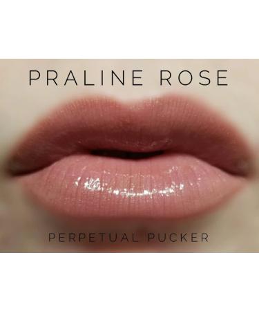 LipSense Bundle - Plum Color with Glossy Gloss | Long-lasting Lipstick Set - Buy Online on GoSupps.com