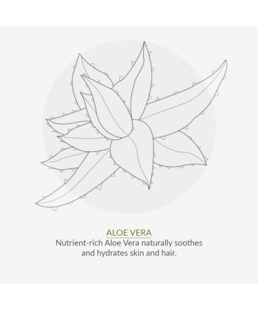 Green People Edelweiss Sun Cream SPF15 100ml | Travel Size for Hand Luggage | Natural Organic Sunscreen with Tan Accelerator | Non Comedogenic Non Greasy | Reef Safe Cruelty Free | Face & Body 100 ml (Pack of 1) - Buy Online on GoSupps.com