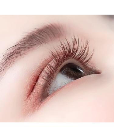 Lash Extension Supplies - 2 Trays 12 Rows Soft Faux Mink Individual Lashes Japanese Camellia Natural Series 0.05-C 10mm & 11mm Caramel - Shop Internationally - Buy Online on GoSupps.com