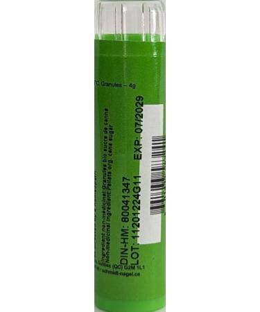 Valeriana Officinale 30CH Homeopathy Medicine Schmidt-Nagel Canada (Homeodel) 90 pellets/granules - Buy Online on GoSupps.com