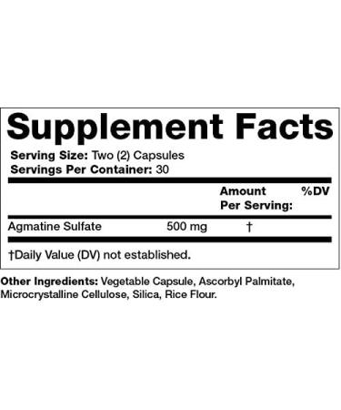 Buy Olympian Labs Agmatine 500 mg - 60 Vegetarian Capsules | Worldwide Shipping - Buy Online on GoSupps.com