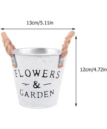 Homoyoyo 8 Pcs Tin Bucket Metal Flower Bucket The Office Desk Decor Galvanized Metal Vase French Country Pitcher Desk Waste Basket Metal Tin Plating Iron Flower Arrangement 13X12cmx2pcs Assorted Colorx2pcs - Buy Online on GoSupps.com