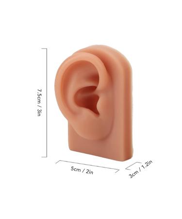 Dark Skin Tone Silicone Human Ear Model for Medical Training - Left & Right | Educational Practice Model - Buy Online on GoSupps.com