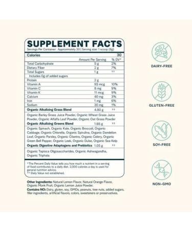 Buy Ora Easy Being Green Organic Alkaline Greens Powder with Citrus Flavor â€“ 240g - Buy Online on GoSupps.com
