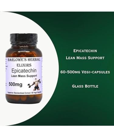 Barlowe's Herbal Elixirs Epicatechin 90% | 500mg | 60 Veggie Capsules | Stearate Free | Glass Bottles - Buy Online on GoSupps.com