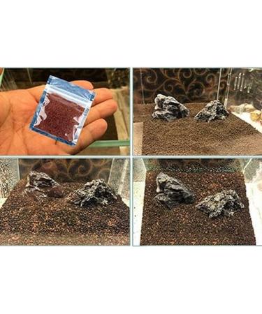 Haloppe 500 Aquarium Plant Seeds - Perfect for Home Garden & Aquatic Decor | 1000stk Water Grass Decoration - Buy Online on GoSupps.com