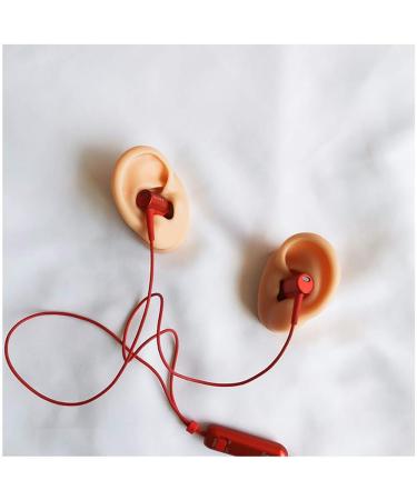 Flexible Silicone Ear Model - Ear Simulation Template with Acupuncture Details Practice Choose Studs Earring Display Accessories Left - Buy Online on GoSupps.com