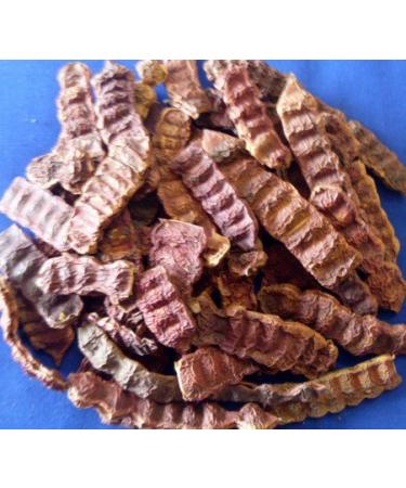 Acacia Concinna Fruit Pods Shikakai Ancient Shampoo Hair Cleanser 500gm - 1.1 Lb by Shikakai