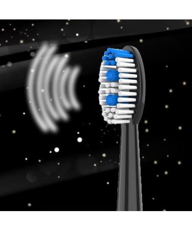 NetGen Replacement Sonic Toothbrush Heads - Soft & Comfortable - Compatible with All Models - Black (Pack of 2) - Buy Online on GoSupps.com